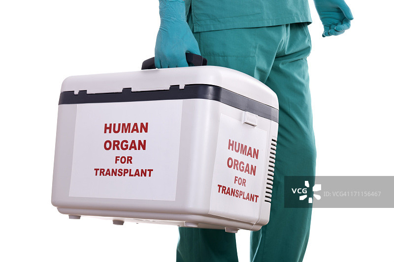 人体器官移植图片素材