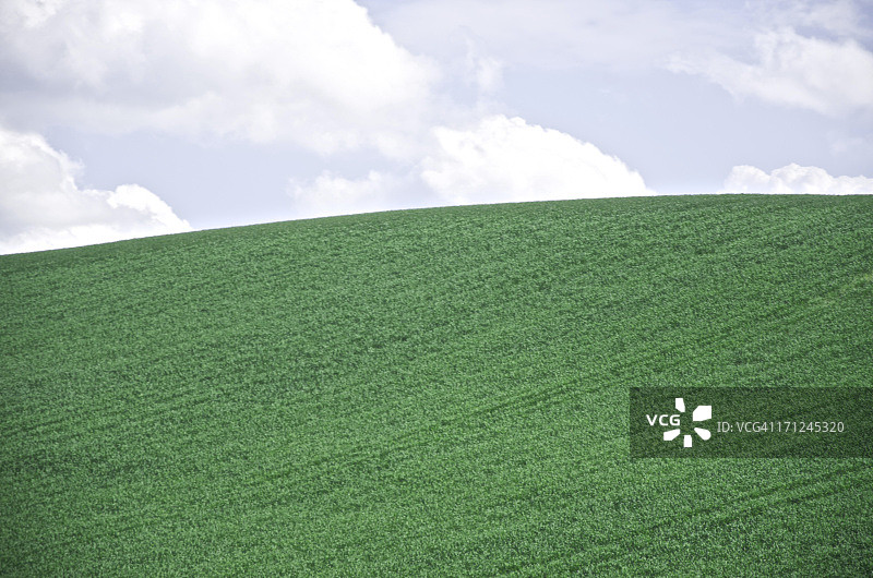 日本北海道美瑛的山丘图片素材