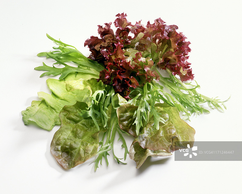 各种生菜图片素材