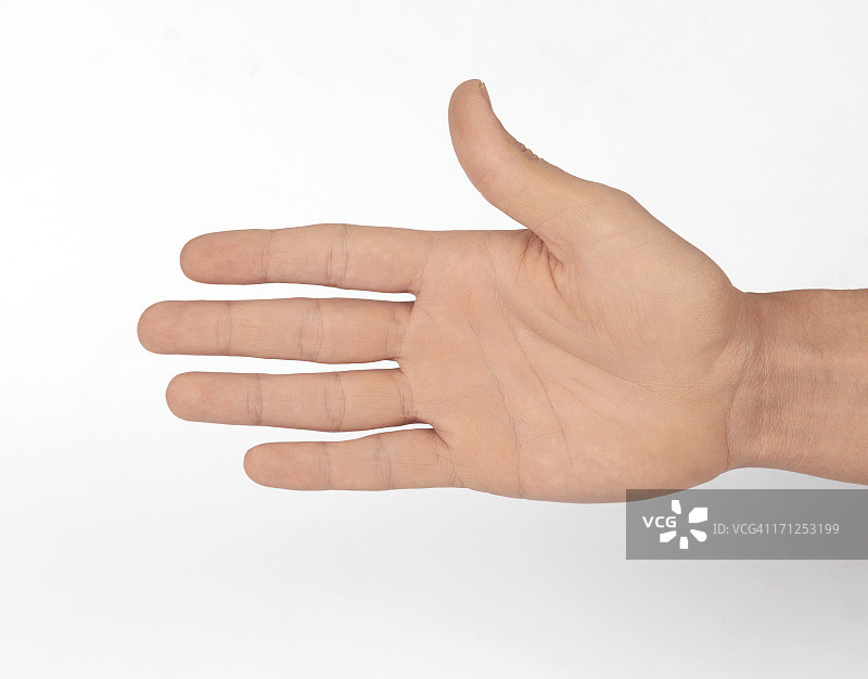 张开的手掌（点击查看更多）图片素材