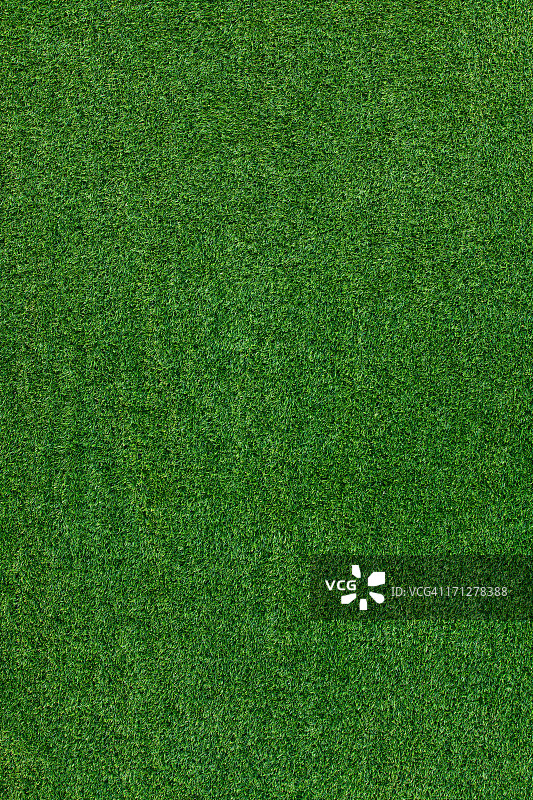 绿草的纹理图片素材
