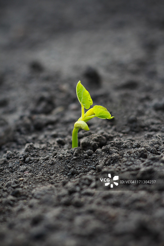 新生活图片素材