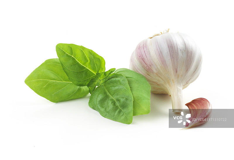 罗勒叶和大蒜图片素材