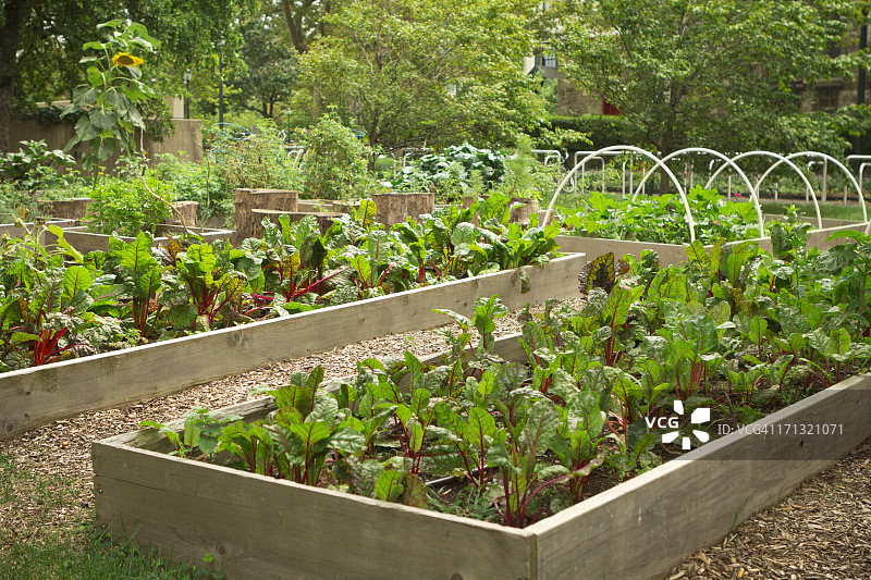 城市社区花园图片素材