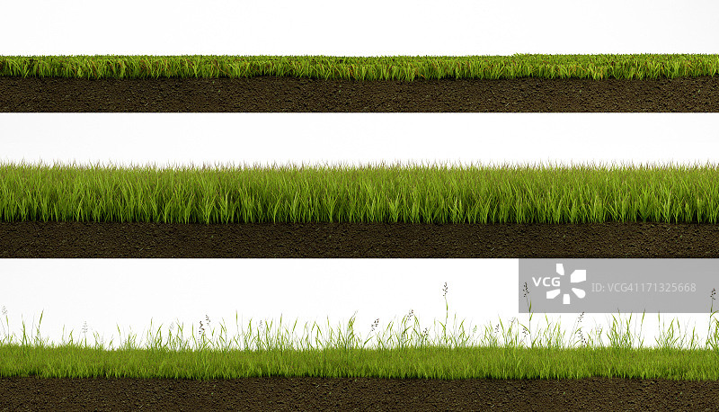 孤立的草图片素材