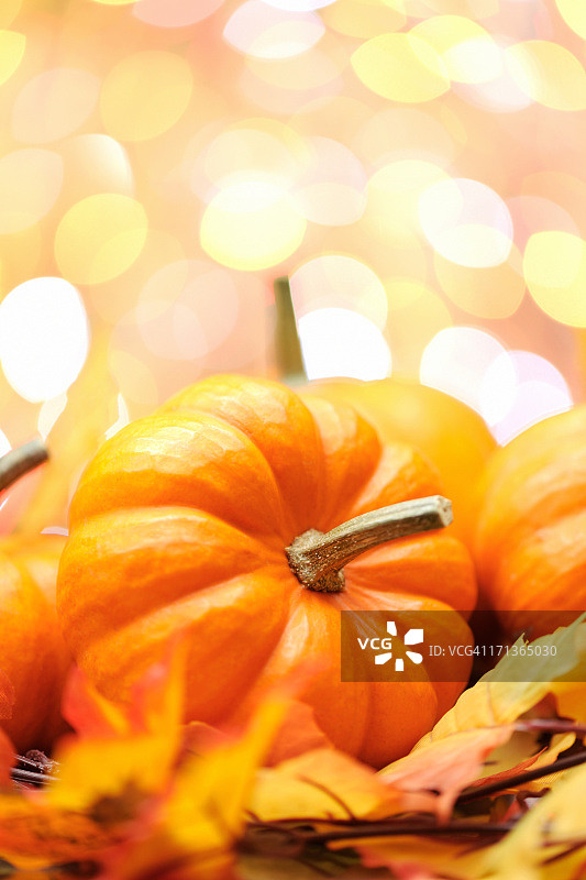 秋天的装饰图片素材