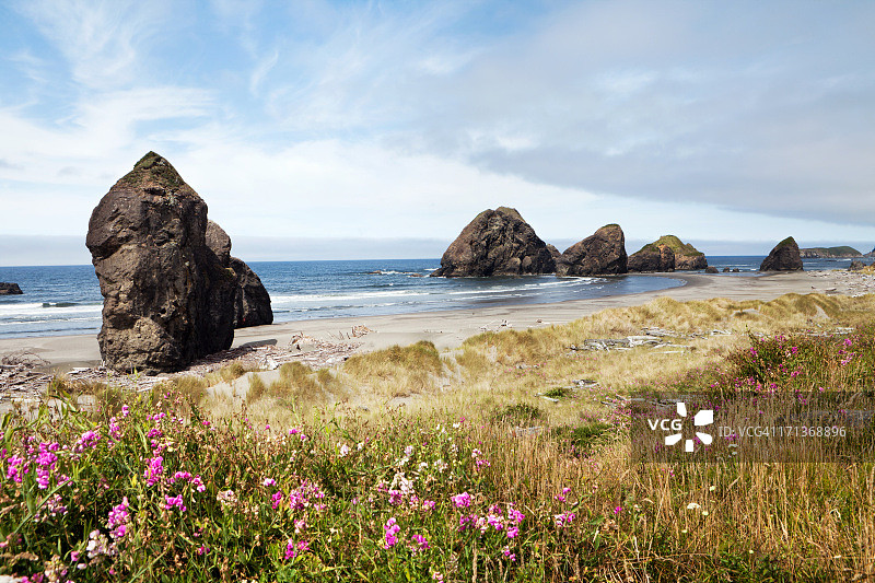 俄勒冈州海岸图片素材