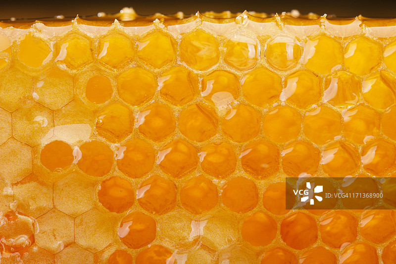 蜂巢切片图片素材