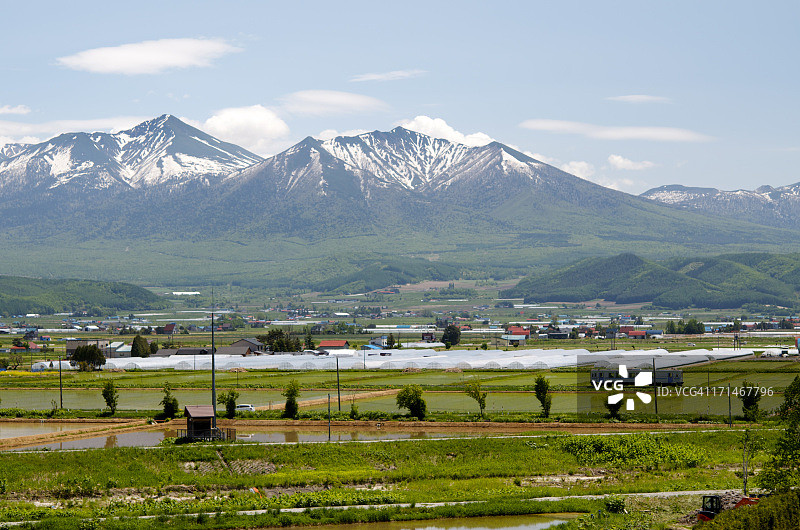 日本富良野十胜山脉与田野图片素材