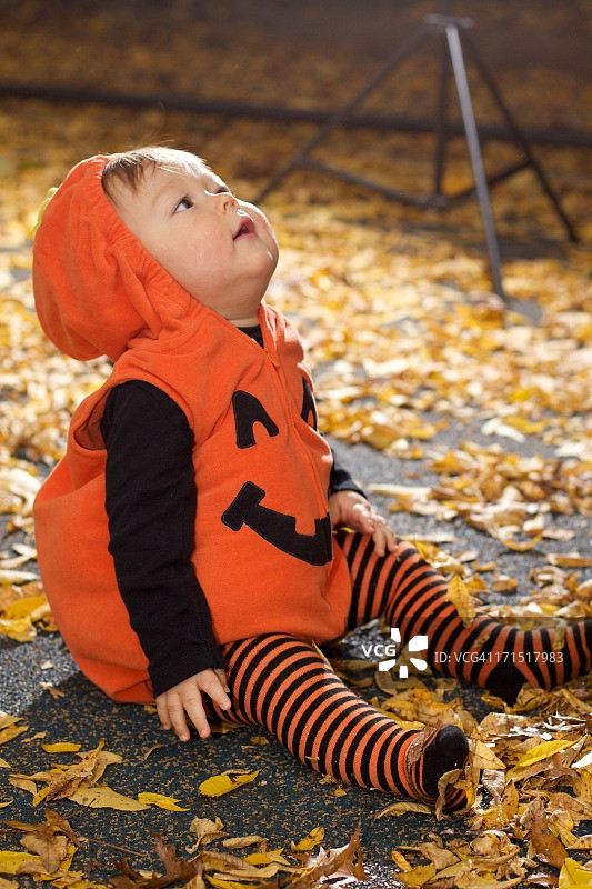 万圣节婴儿图片素材