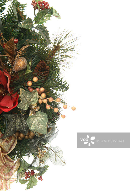 花环系列：黄色浆果图片素材