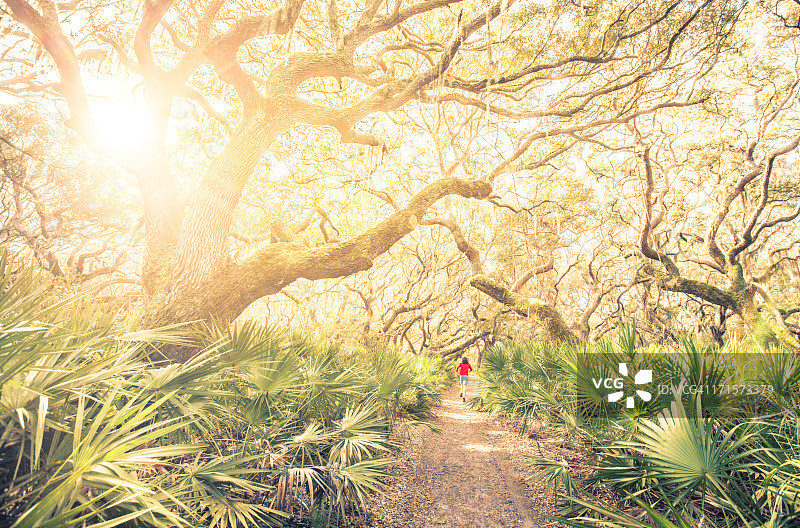 日落时分在树林中训练的跑步男人图片素材