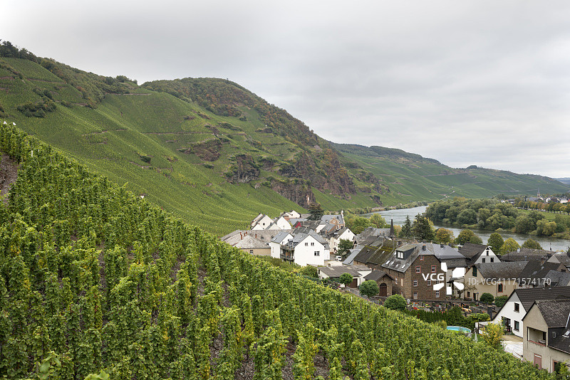 摩泽尔河谷葡萄园风光图片素材