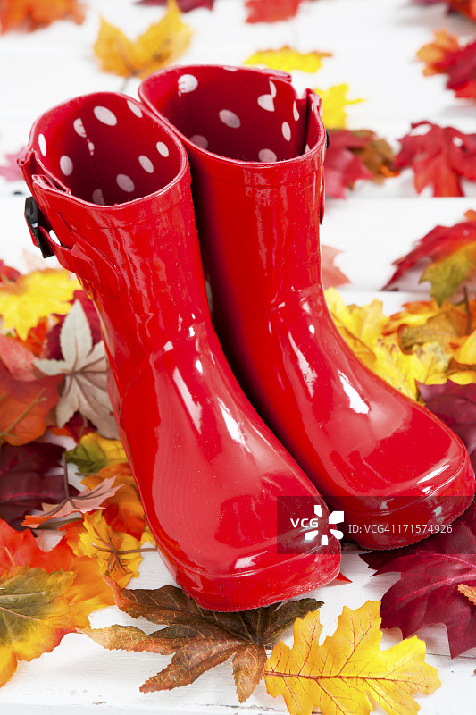 秋叶上的红色橡胶靴图片素材