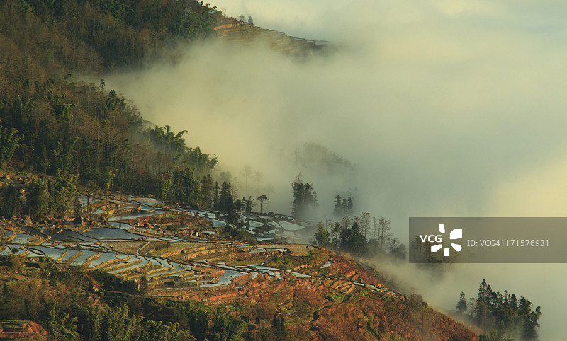元阳梯田图片素材