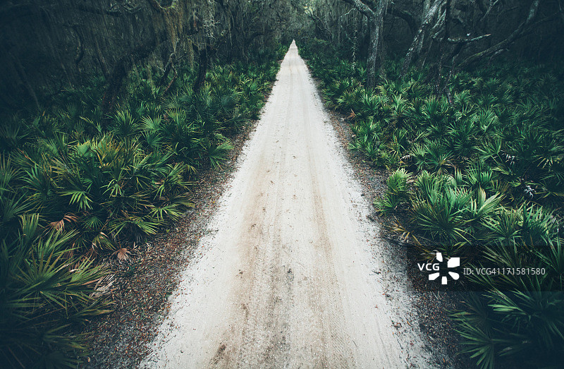 穿过林地沿海地区的乡村沙路图片素材