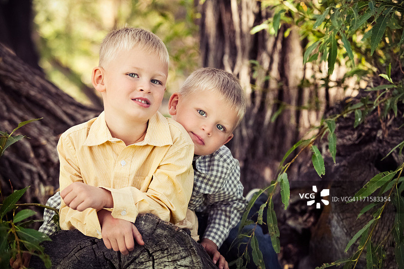 两个小男孩兄弟在户外树干上图片素材