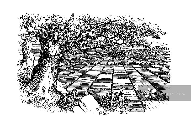 爱丽丝梦游仙境：镜中奇缘图片素材