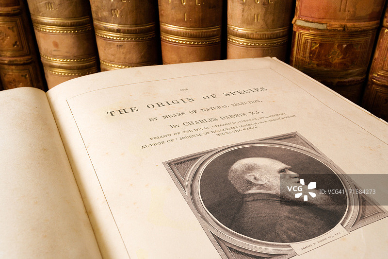 物种起源 - 查尔斯·达尔文图片素材