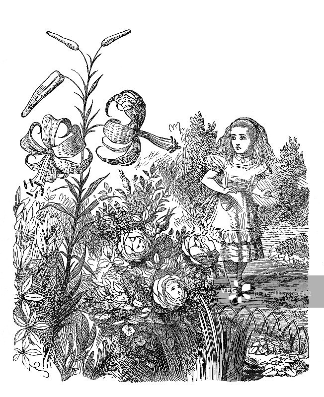 爱丽丝梦游仙境：镜中奇缘图片素材