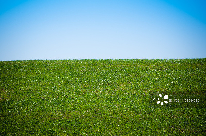 春季草地景观图片素材