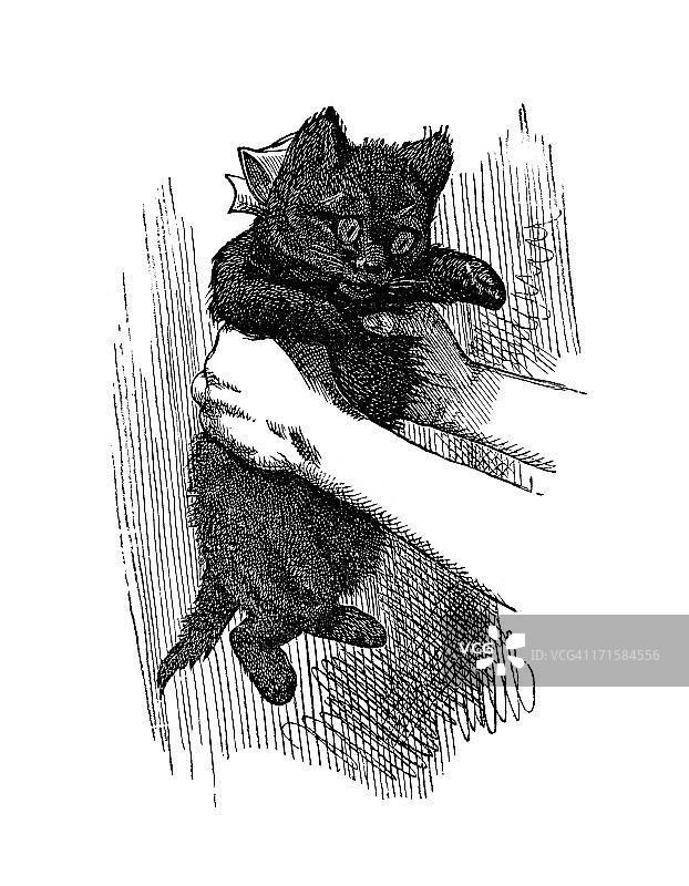 爱丽丝梦游仙境：镜中奇缘图片素材