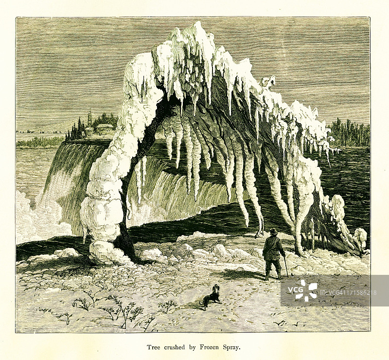 尼亚加拉瀑布旁被冰冻浪花摧毁的树图片素材