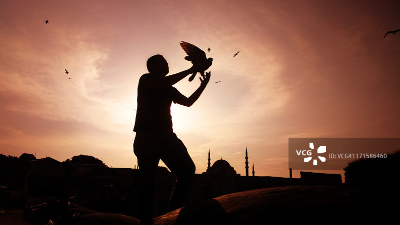 爱鸽人士图片素材