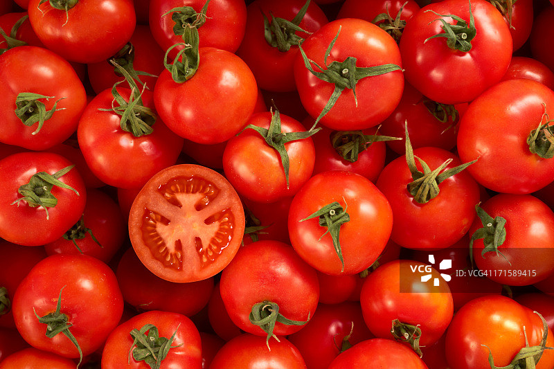 西红柿图片素材