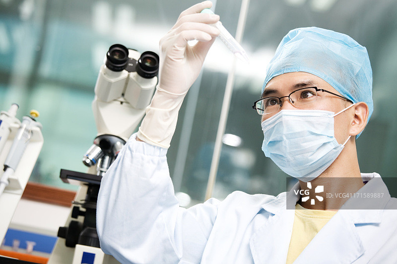 在实验室工作图片素材