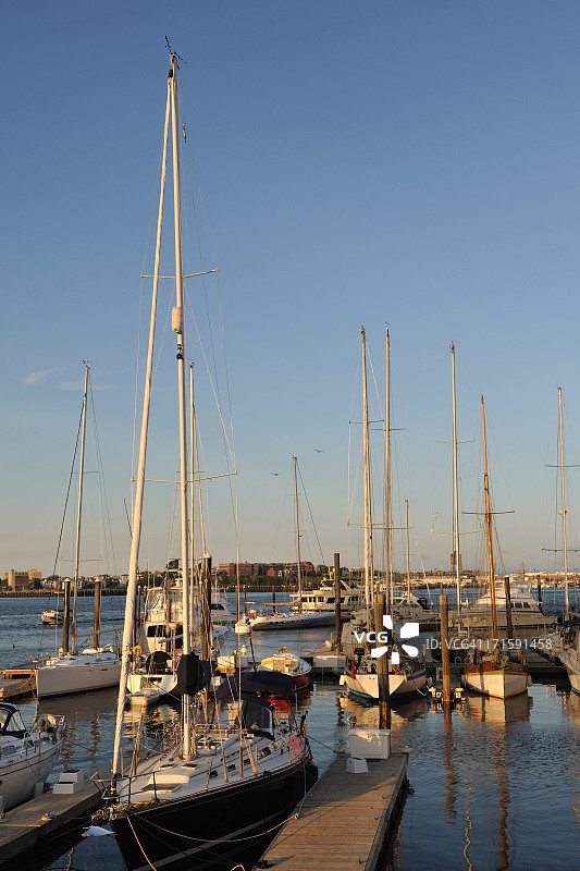 波士顿港的游艇图片素材