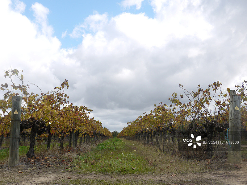 冬季酿酒厂图片素材