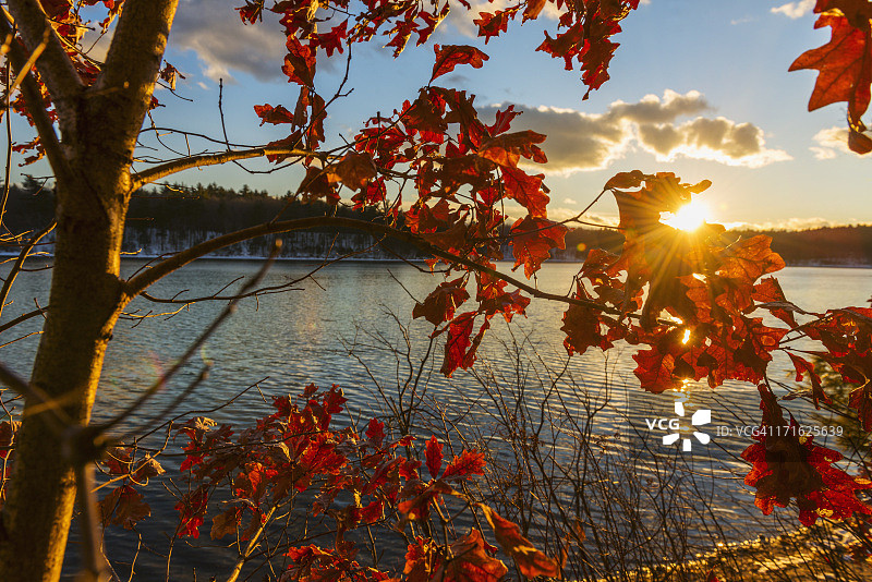 美国马萨诸塞州康科德瓦尔登湖秋叶图片素材