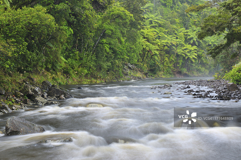 森林流图片素材
