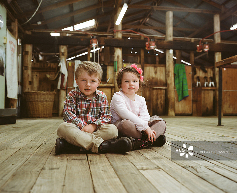 孩子们坐在剪羊毛棚里图片素材
