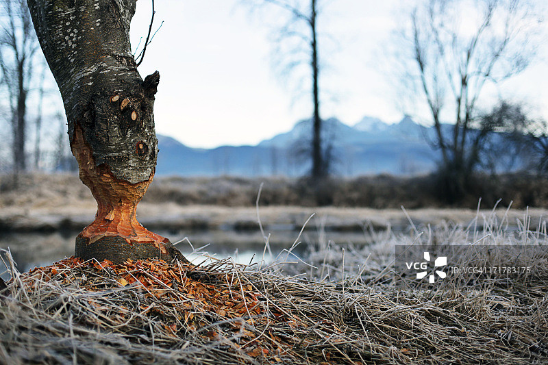 未完成的事业图片素材