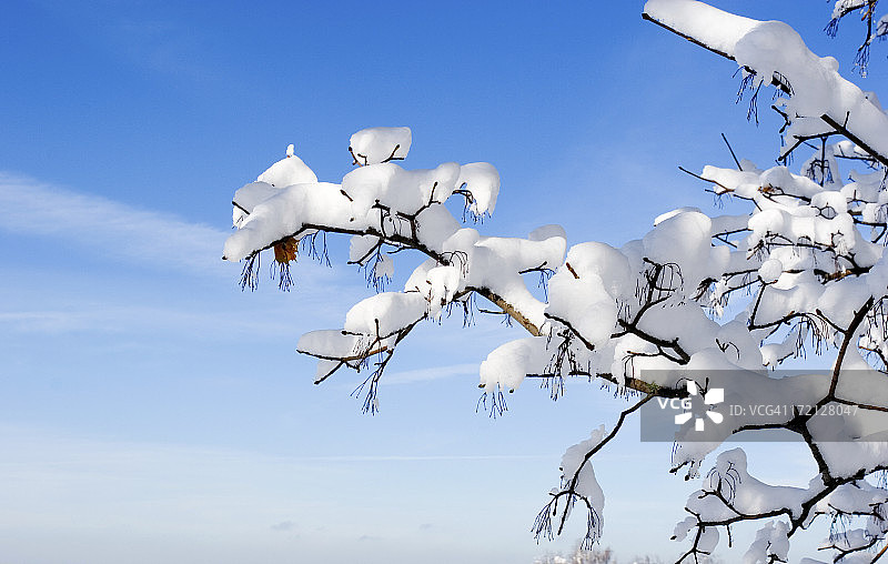 冬天的背景图片素材