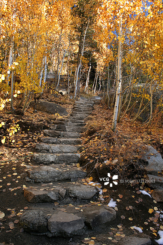 秋季楼梯图片素材