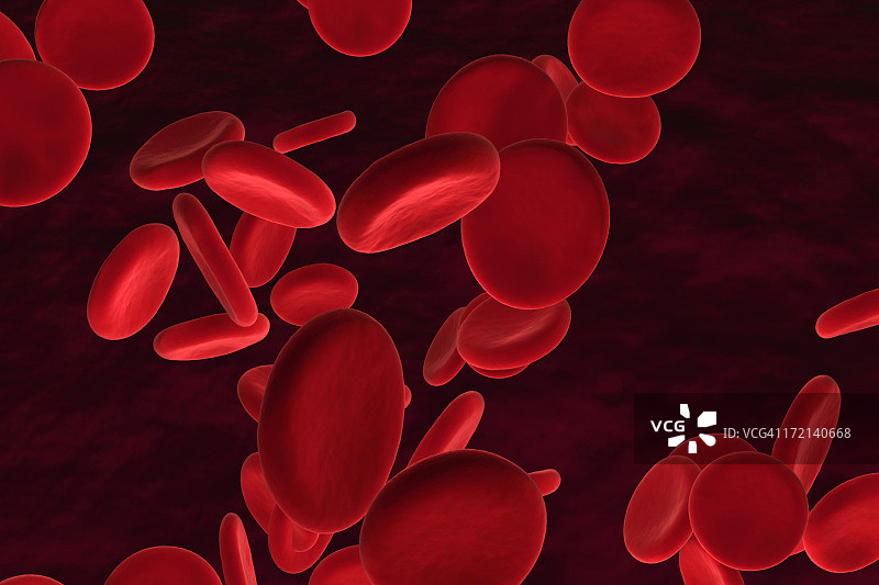 红色血细胞图片素材