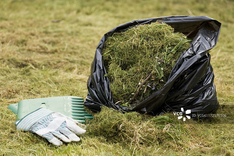 修剪草坪图片素材
