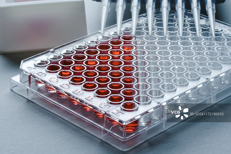 部分装满样品的托盘图片素材