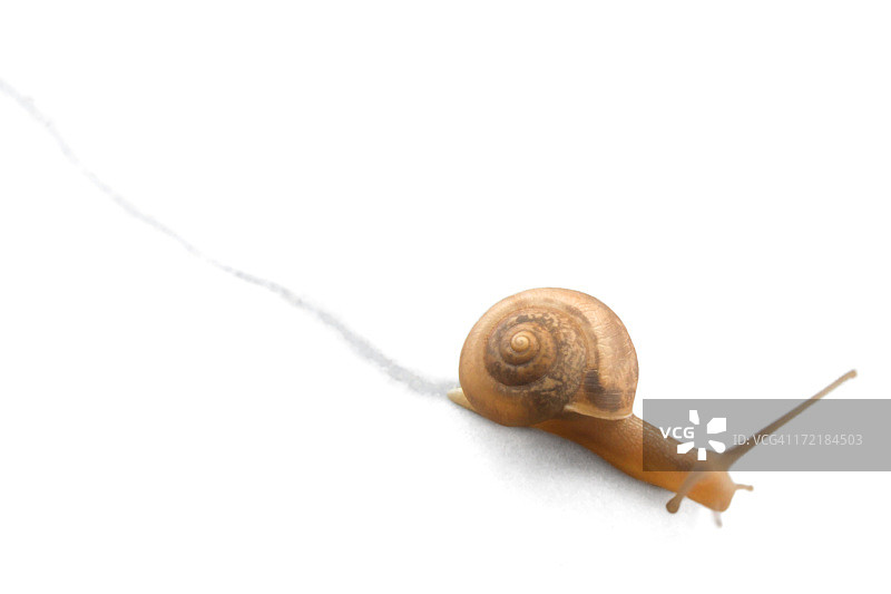 在奔跑中！图片素材