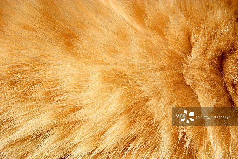 毛皮纹理图片素材