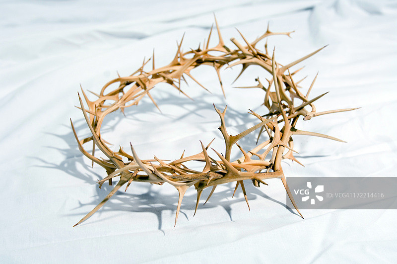 荆棘的冠冕图片素材