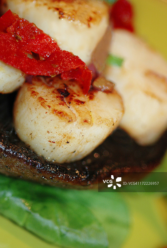 扇贝和波多贝罗菇图片素材