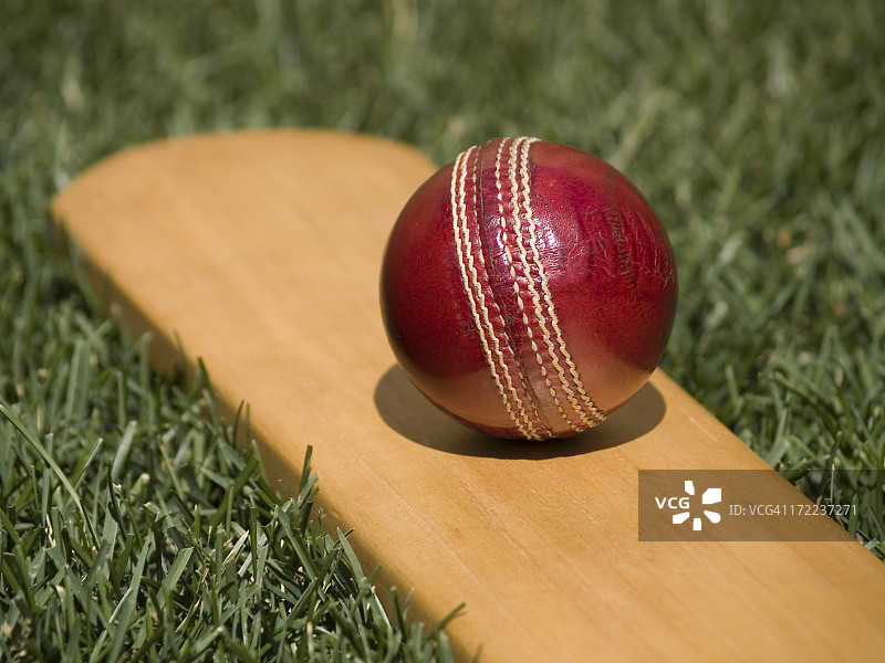 板球图片素材