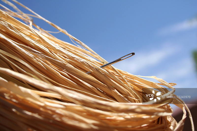 蓝天下，草堆中一根针的特写图片素材