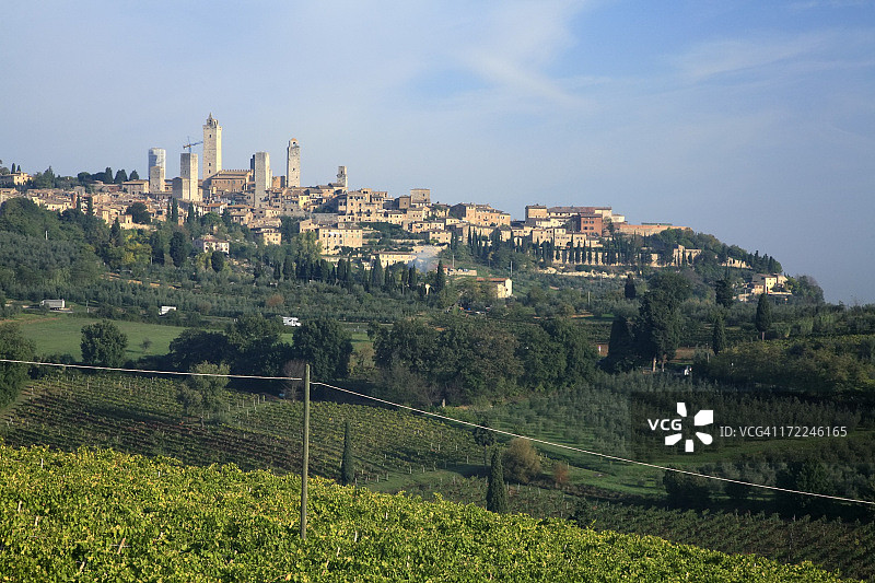 圣吉米尼亚诺的橄榄树和葡萄园图片素材