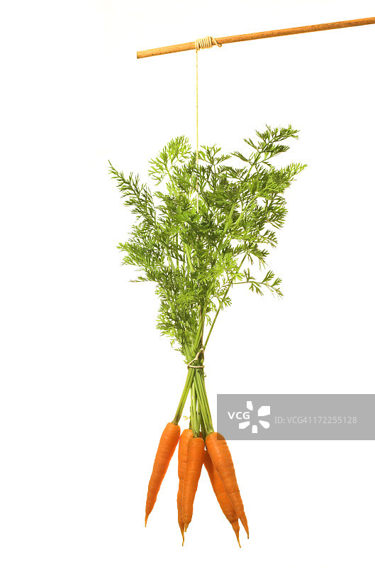 棍子上的胡萝卜图片素材