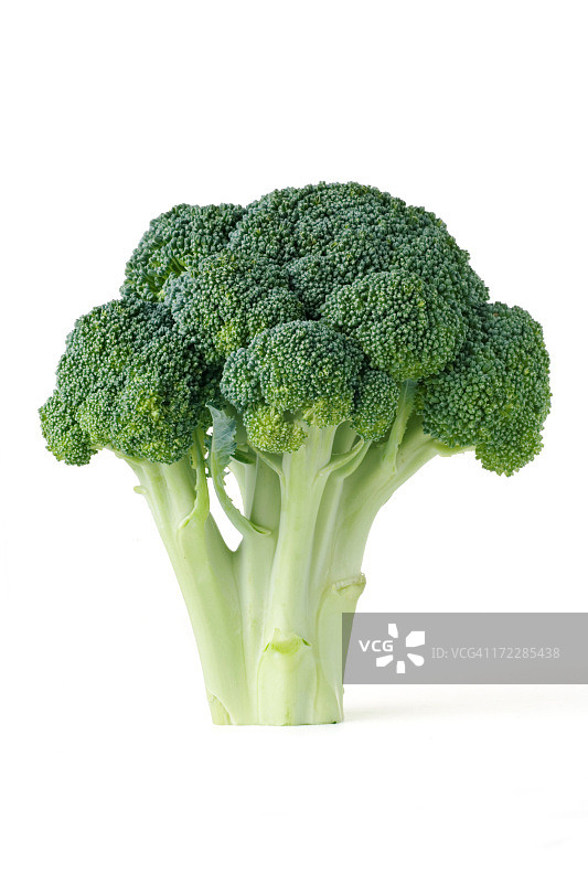 白色背景上的单件西兰花图片素材